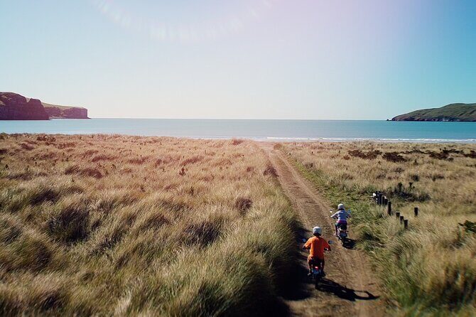 Akaroa Self Guided Electric Scooter Tour - The Experience Breakdown