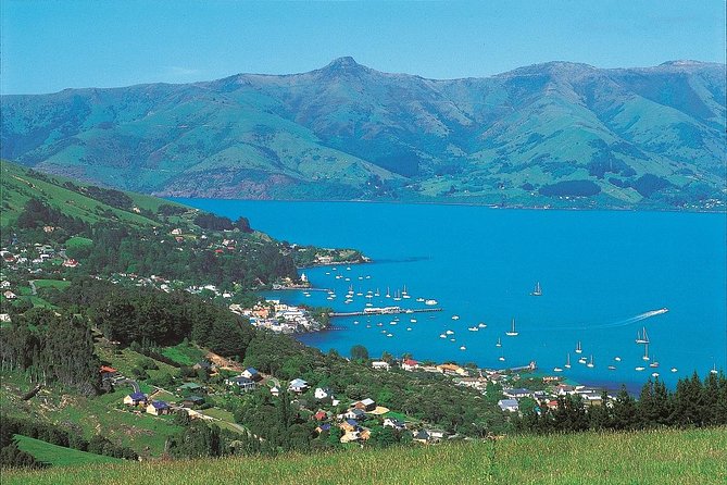 Akaroa Shore Excursion: Akaroa Harbour and Giants House Local Tour - Tour Details