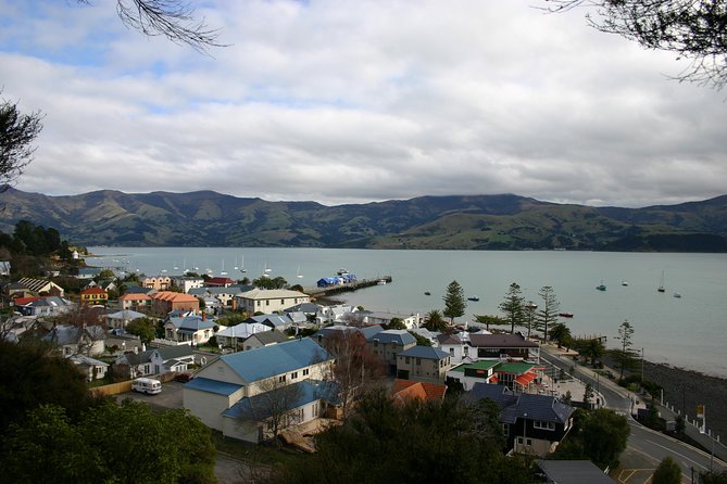 Akaroa Shore Excursion: Akaroa Harbour and Sheep Farm Local Tour - Customer Reviews