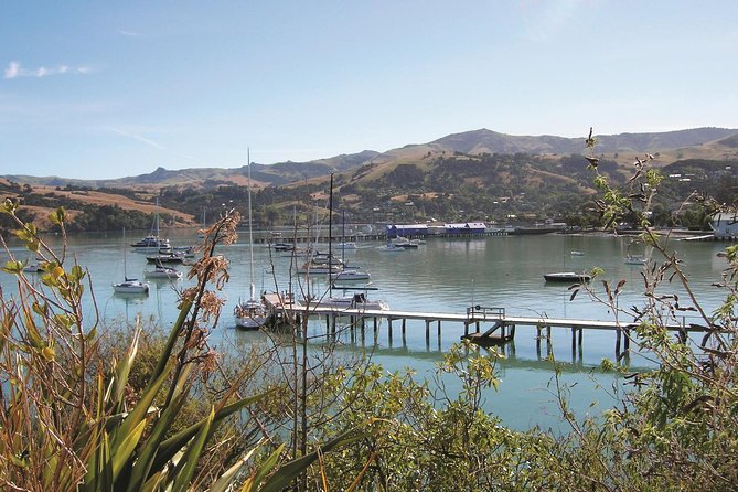Akaroa Shore Excursion: Banks Peninsula, Christchurch City Tour and Sheep Farm Tour - Feedback on Driver/Guide and Sheep Farm