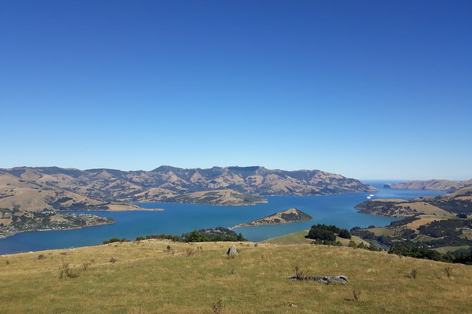 Akaroa Shore Excursion: Banks Peninsula, Christchurch City Tour and Sheep Farm Tour - Feedback on Sheep Farm Tour