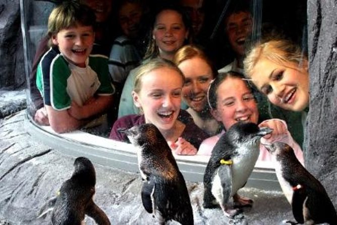 Akaroa Shore Excursion: Banks Peninsula, Christchurch City Tour and the International Antarctic Cent - The Sum Up