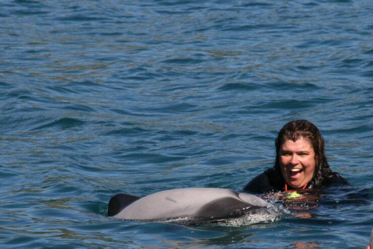 Akaroa: Swimming With Wild Dolphins 3-Hour Experience - Experience Highlights