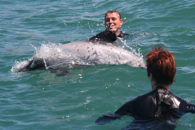 Akaroa: Swimming With Wild Dolphins 3-Hour Experience - Customer Reviews