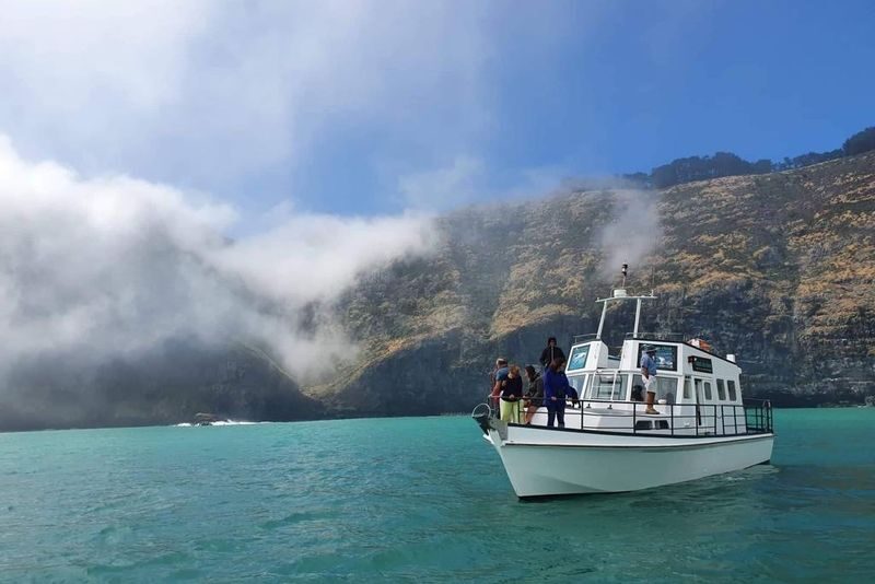Akaroa Wildlife Cruise - From Akaroa Harbour to the Pacific Coast