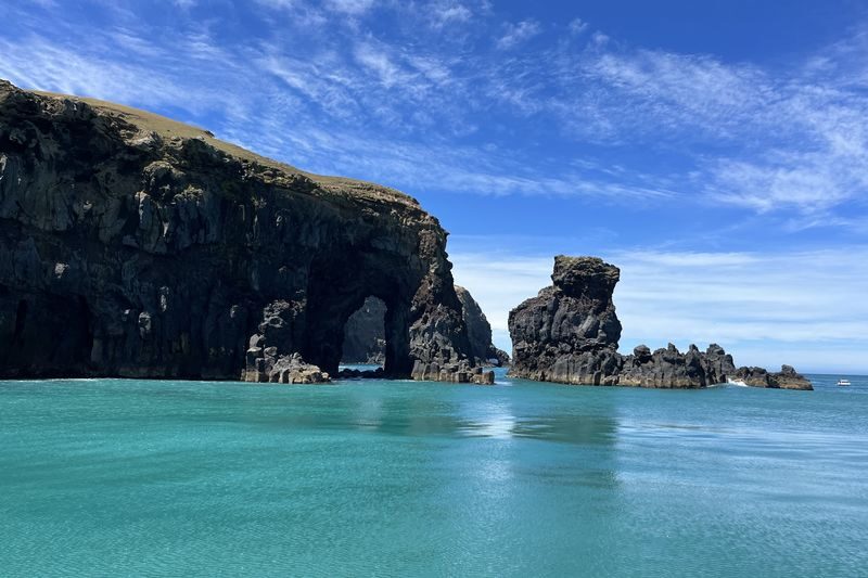 Akaroa Wildlife Cruise - What the Price Gets You