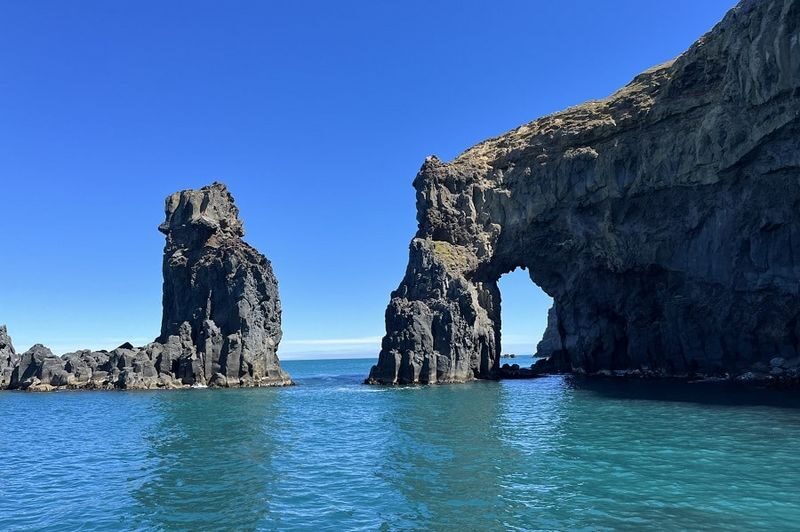 Akaroa Wildlife Cruise - Should You Book the Akaroa Wildlife Cruise?