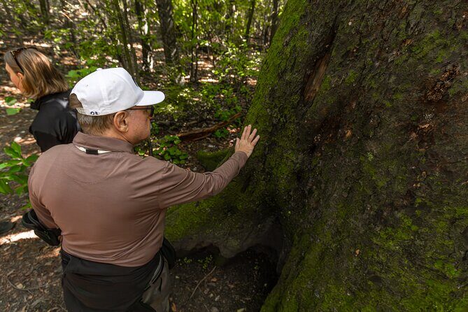 Akaroa with optional dolphin cruise (Small Group Tour) - Who Would Love This Tour?