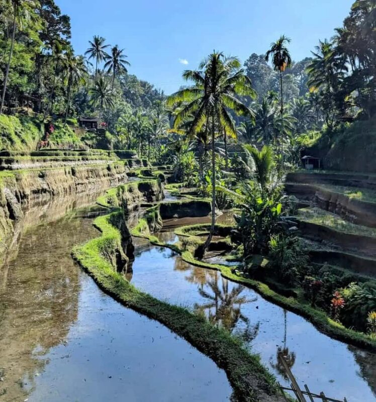 AKASA Sunrise Cafe, Batur Natural Hot Springs & Rice Terrace - FAQ