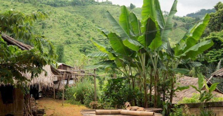 Akha & Lahu Village Trekking 1 Day - Guided Experience and Language