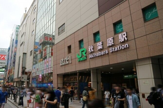 Akihabara Anime, Games & Maid Café Tour: Immerse Otaku Culture - Who Is This Tour Best For?