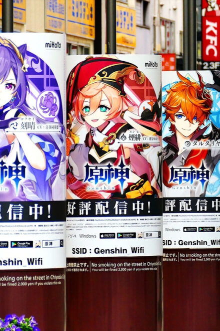Akihabara: Anime & Gaming Adventure Tour &Maid Cafe - Anime Stores and Game Centers