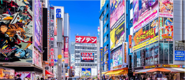 Akihabara: Anime & Gaming Adventure Tour &Maid Cafe - Important Information