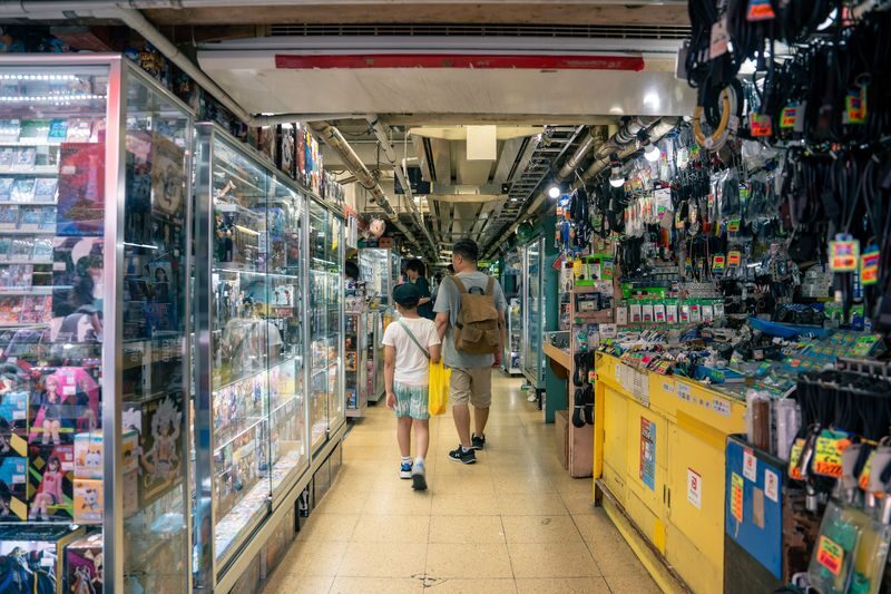 Akihabara Electric & Anime Town Walk: Dive into The Holy Land of Ot - AKIBA Cultures Zone and the world of figures