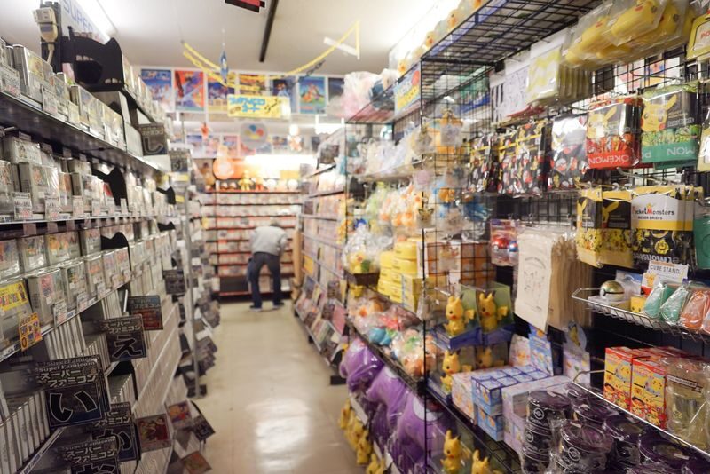 Akihabara Electric & Anime Town Walk: Dive into The Holy Land of Ot - Practical considerations before you go