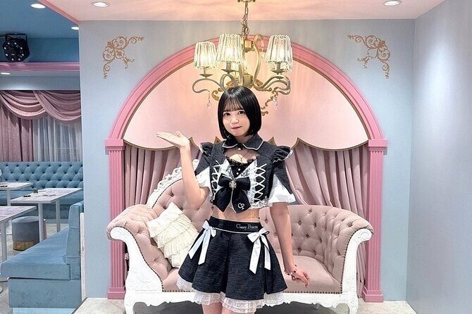 Akihabara Game Culture Tour and Princess Café Experience - Good To Know