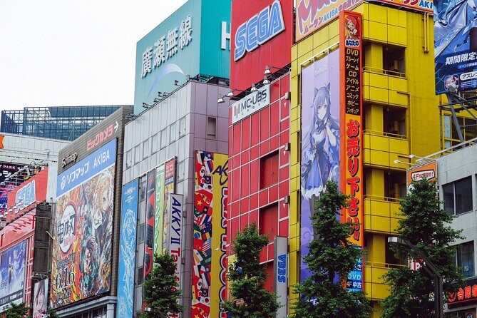 Akihabara Game Culture Tour and Princess Café Experience - What We Love