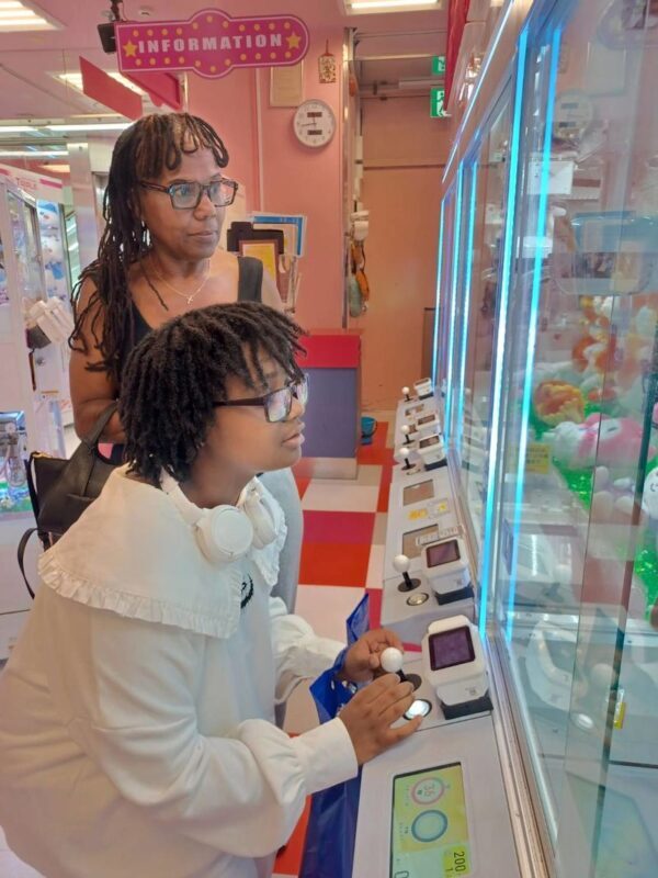 Akihabara Half-Day Private Anime & Manga Tour - The guide’s role, and what to ask