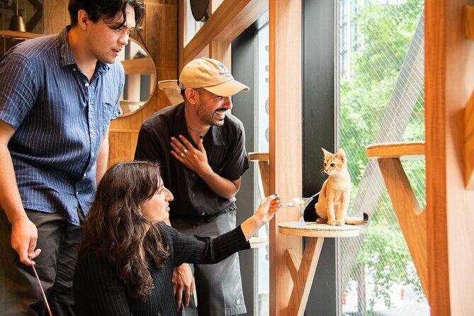 Akihabara Pop Culture and Relaxing Cat Café Tour with Local Guide - An In-Depth Look at the Tour Experience