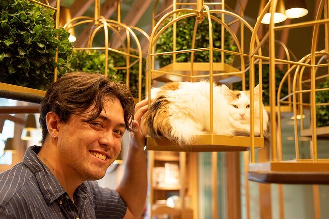 Akihabara Pop Culture and Relaxing Cat Café Tour with Local Guide - Who Will Love This Tour?