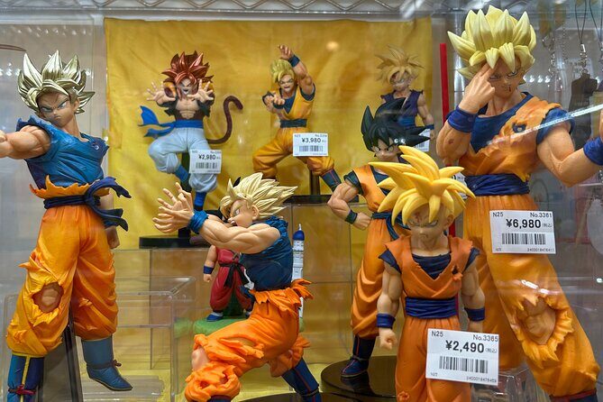 Akihabara Pop Culture Tour with Maid Café and UFO Catcher Fun - Practical Details: What You Should Know