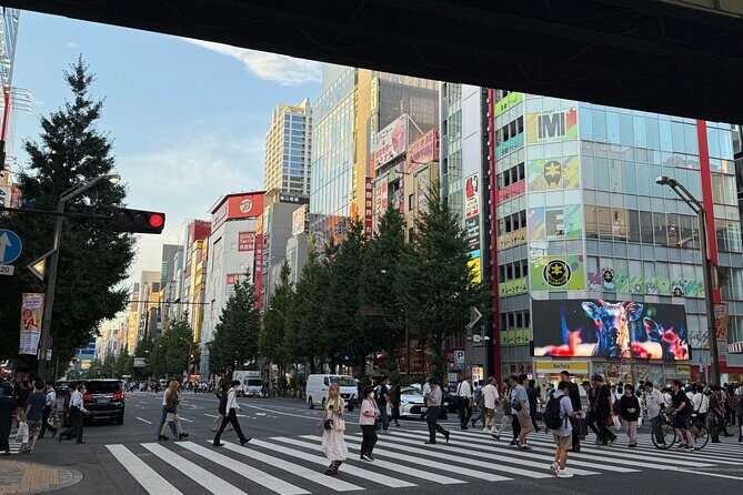 Akihabara Trading Card Shopping Tour with Local Guide - Is It Worth the Price?