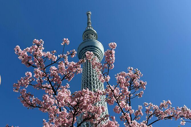 Akihabara Ultimate Anime & Gaming Tour with Maid Café Experience - Final Thoughts: Is It Worth It?