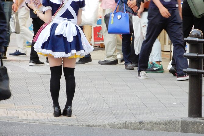 Akihabara Wonderland: Dive Into Tokyos Otaku Universe!" - Anime and Manga Attractions