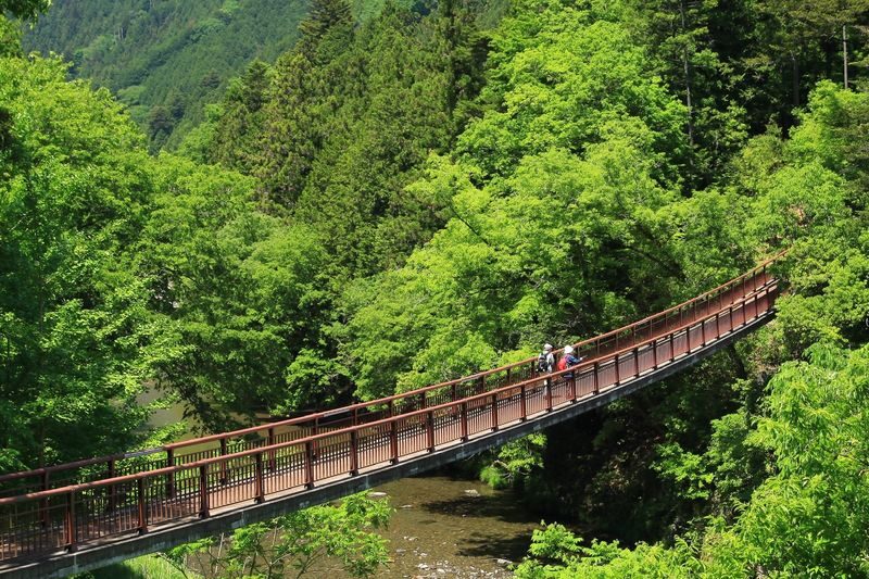 Akiruno Electric Bike & Nature Half-Day Tour - Temples, local snacks and everyday Akiruno