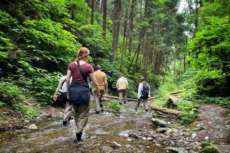 Akiruno Electric Bike & Nature Half-Day Tour - What the price buys you