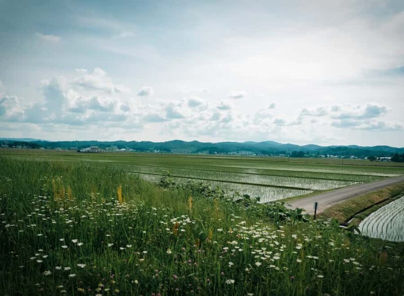 Akita: Kinmon Akita Sake Brewery Tour and Tasting - An In-Depth Look at the Experience