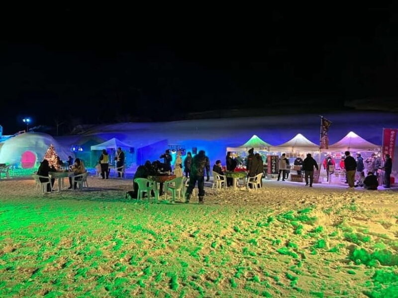 Akita-Yuzawa: Winter Night Tour with Igloos & Giant Icicles - Who Will Love This Tour?