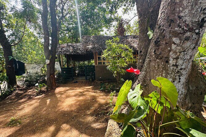 Akka Nago Cooking Class & Resturant - An In-Depth Look at the Akka Nago Cooking Class & Restaurant Experience