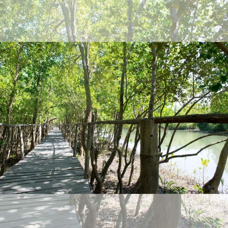 Aklan: Vibrant Kalibo Tour - Introduction