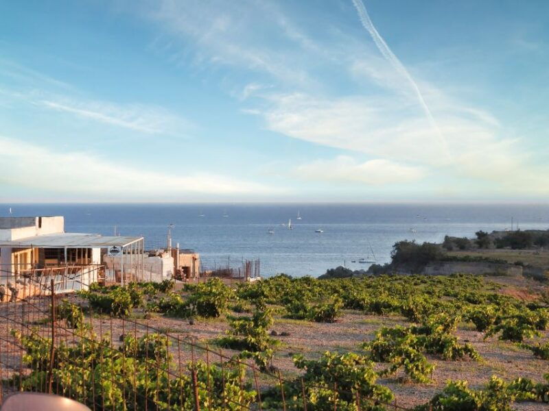 Akrotiri: Guided Horseback Riding Day Trip to a Beach - Why This Tour Offers Excellent Value