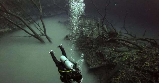 Akumal: 2 Dives at Cenote Dos Ojos - Water Conditions