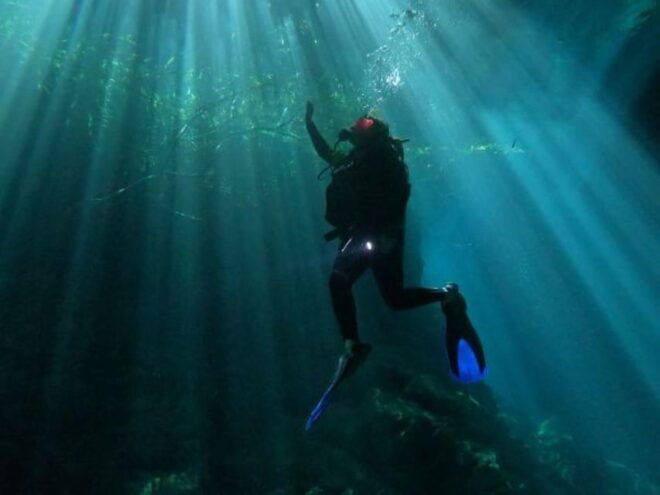 Akumal: 2 Dives at Hells Bells and Cenote Maravilla - Requirements