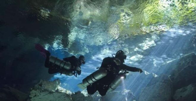 Akumal: 2 Tank Diving at Jardin Del Eden and Casa Cenote - Cenote Jardin Del Eden