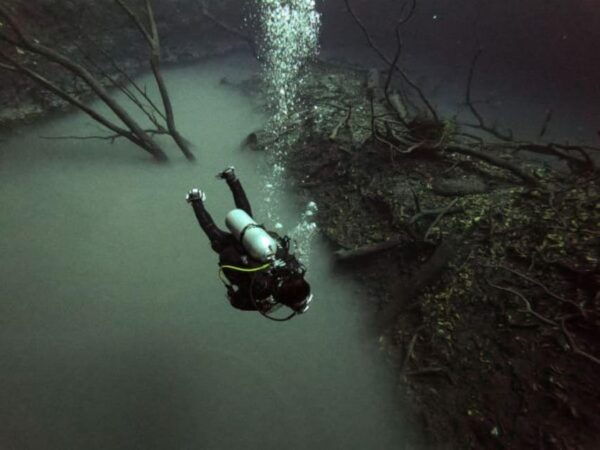 Akumal: 2 Tank Diving at Jardin Del Eden and Casa Cenote - Requirements