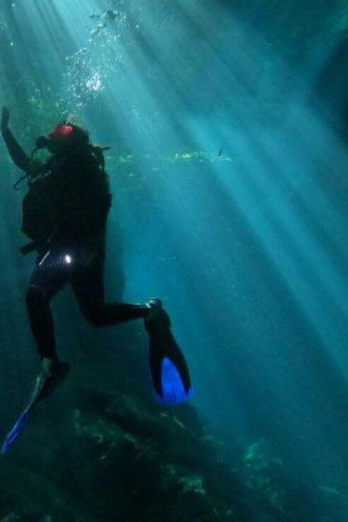 Akumal: 2 Tank Diving at Jardin Del Eden and Casa Cenote - Good To Know