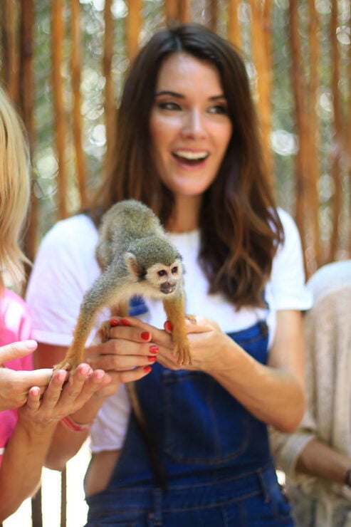 Akumal: Akumal Monkey Sanctuary Tour - Experience Highlights