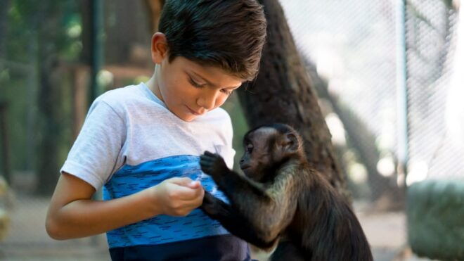 Akumal: Akumal Monkey Sanctuary Tour - Tour Duration