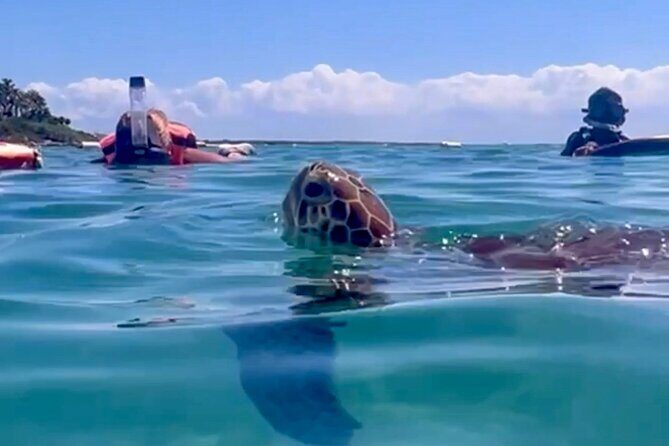 Akumal Bay snorkeling, plus 3 cenotes and great food - Exploring the Akumal Bay Snorkeling, Cenotes, and Food Adventure