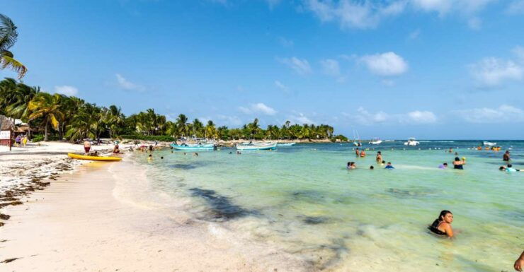 Akumal Beach: Swimming With Turtles Tour With Beach Time - Tour Description & Itinerary