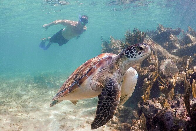 Akumal Cenote Swimming and Snorkeling from Cancun & Costa Mujeres - Who Is This Tour Best For?