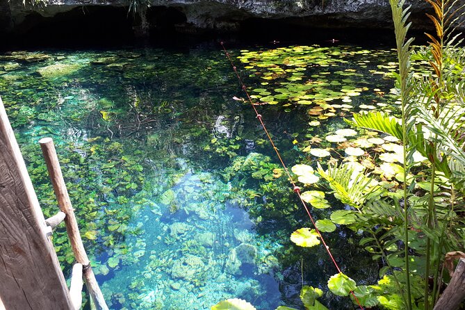 Akumal, Cenote Taak Bi Ha Private Tour From Playa Del Carmen - Reviews and Ratings