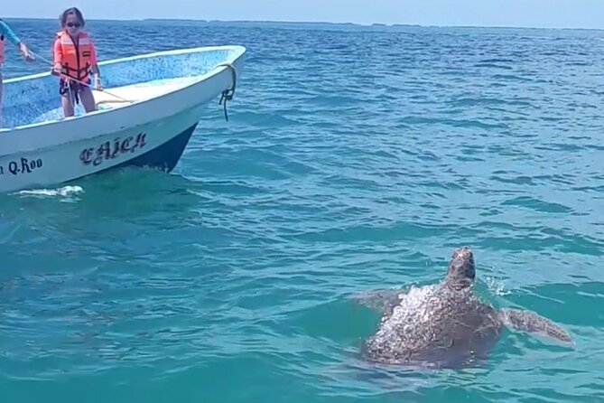 Akumal, Cenote Taak Bi Ha Private Tour From Playa Del Carmen - Additional Information