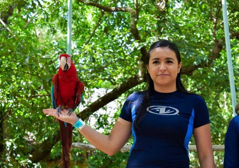 Akumal: Monkey Sanctuary, ATV, Cenote, & Yalku Snorkel Tour - Physical Demands and Suitability