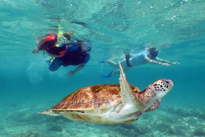 Akumal Paradise Tour Swimming With Turtles & Ancient Tulum Ruins. Lunch Included - Directions