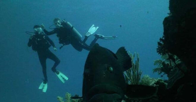 Akumal: Scuba Diving Experience - Participant Requirements and Certification